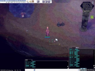 screeniris238
